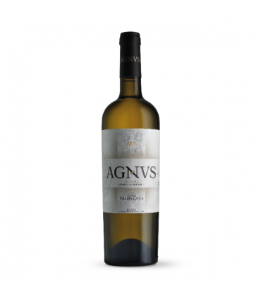 Familia valdelana Malvasia Agnus blanco