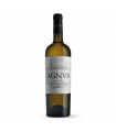 Familia valdelana Malvasia Agnus blanco
