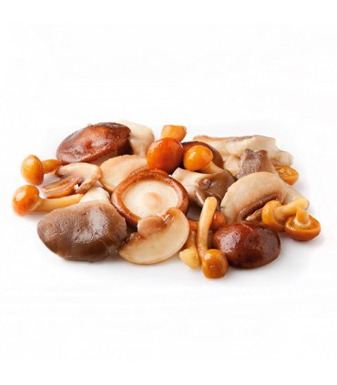 Mezcla de 4 Setas 1kg