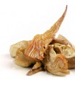 Alcachofas confitadas en aceite arbequina 100g FoodVAC