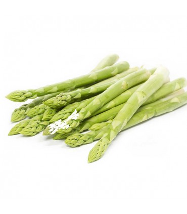 Espárragos Verdes gruesos ultracongelados 1kg