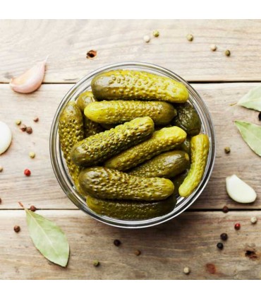Pepinillo en vinagre alemán 670g