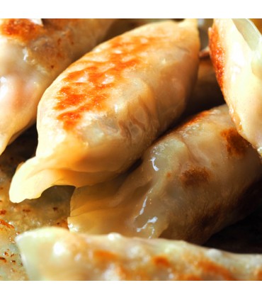 Gyozas artesanales de Pato y Verduras 600g